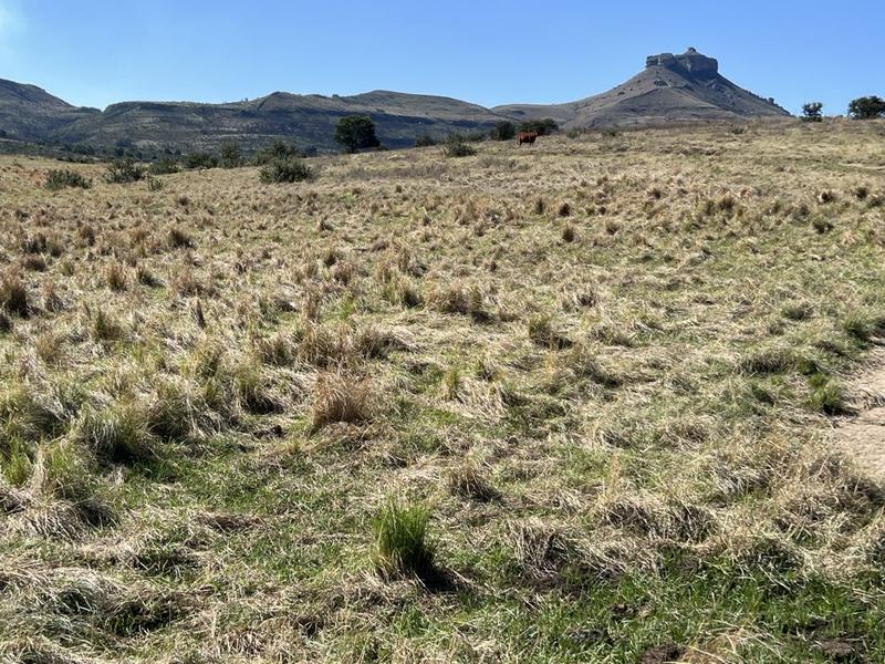 0 Bedroom Property for Sale in Harrismith Free State